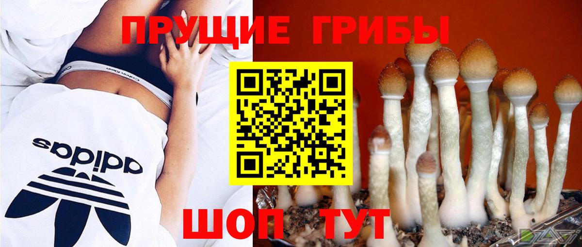 Псилоцибиновые грибы мицелий  Вход с VPN  Шарыпово 